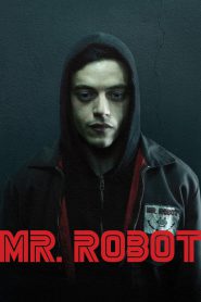 Mr. Robot PL
