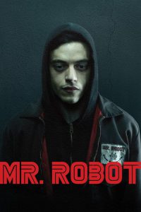 Mr. Robot PL vizjer