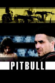 Pitbull 2005