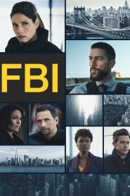 FBI: Sezon 5